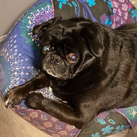 Meet your Posher, Kristi - Picture 11 of 17